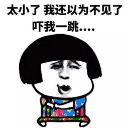 这场闹剧最终落下了帷幕,惊心动魄的一天,也带着些许快乐,好在蘑菇的