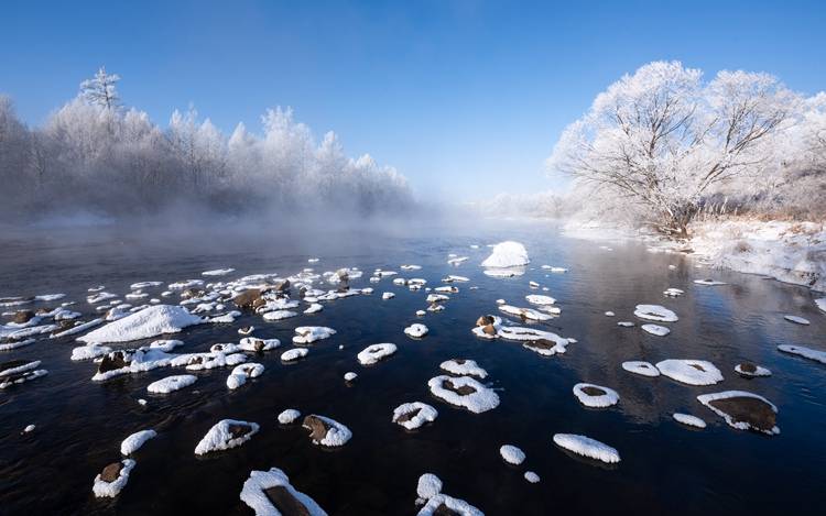 冰雪|去哪看雾凇？昙花一现的冰雪世界，像梦境一般