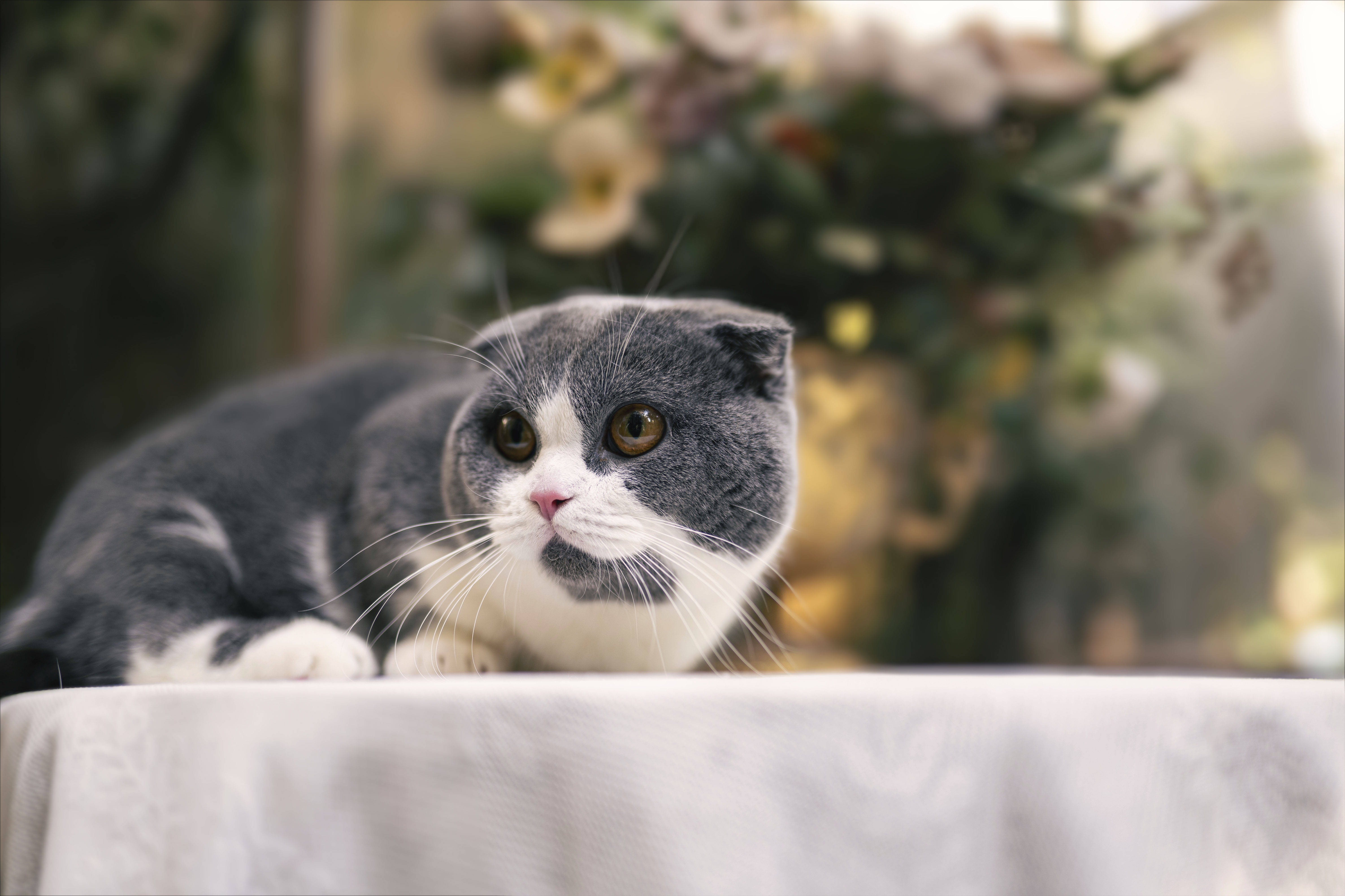 用上PhotoShop的智能景深功能，忘记你笨重的大光圈镜头