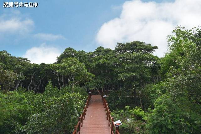 海口|中国适合过冬的旅游城市，集人文和自然双重景色，关键物价还不高