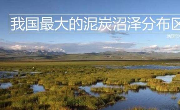 位于青藏高原的“若尔盖沼泽”，是我国最大的泥炭沼泽分布区