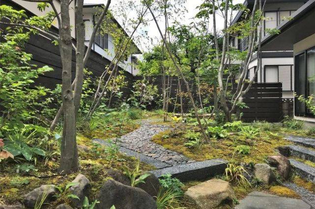 剑源共挤木|日式自然风“杂木”庭院。_生活_植物_树木