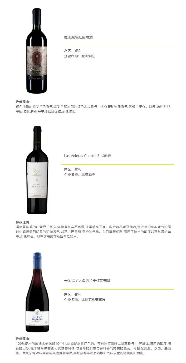 卢大炜|「见新·见智」92+智利高分酒,带你一览智利佳酿!(下)