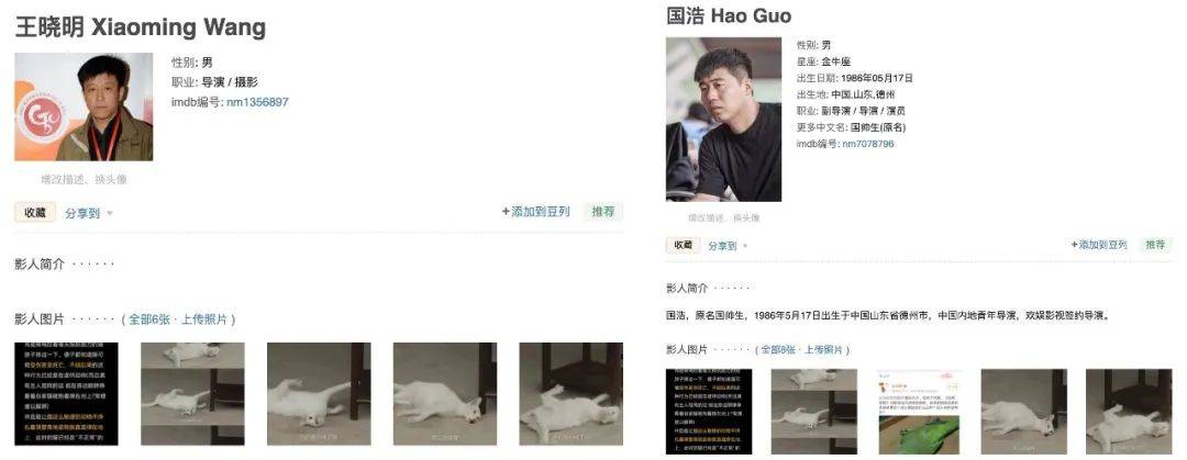 白猫|影视剧博主爆料:已确认于正新剧中的白猫死亡,“拍完就死了扔了”