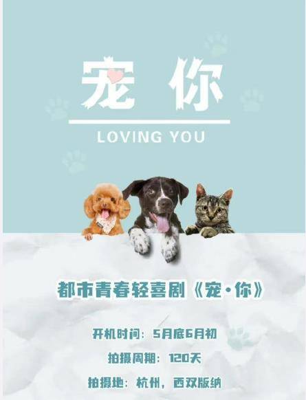 角色|网传宣璐黄子韬首度合作现代甜宠剧《宠你》,粉丝:天作之合!