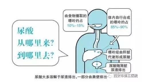 饮食|疼痛难忍｜“痛”欲静而“风”不止