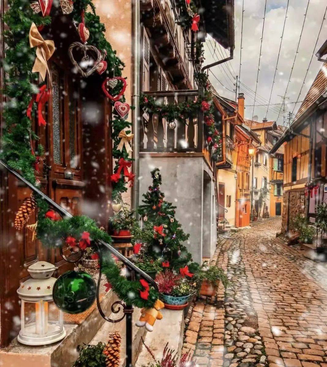 圣诞节就要到了，除了圣诞树，你的院子里还可以用这些来装扮成圣诞园_搜狐网, image size:1068x1200