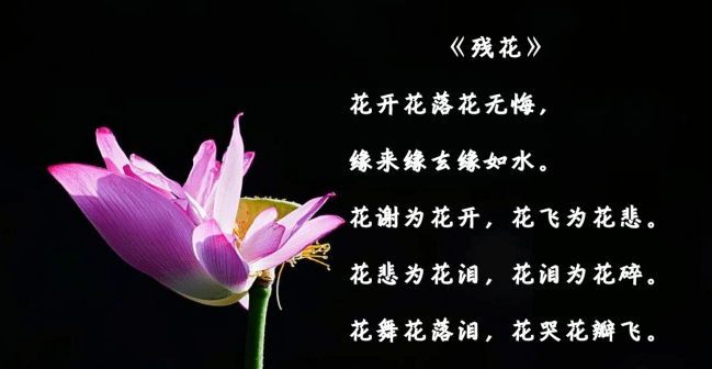 48aab88db7d24a5abd4ef5bcc3bcc5cb.png