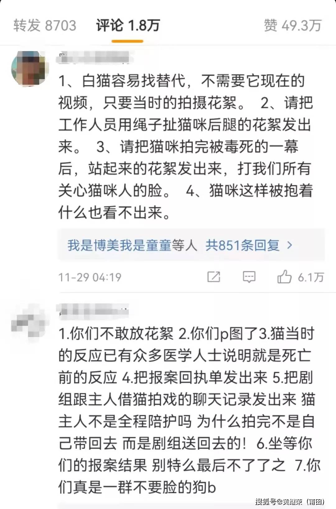 猫咪|于正“虐猫”事件升级：他犯的错，远没有这么简单