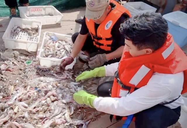 甲板|主持人陈欢晒出海照，刘恺威蹲甲板上认真挑鱼，衣服脏乱都没注意
