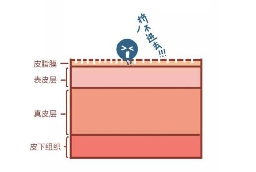 分子外用胶原蛋白护肤品真的有用吗，那口服胶原蛋白肽有用吗？