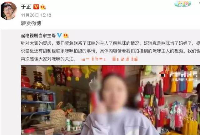 猫咪|不虐待动物就拍不好影视剧了吗？这5部戏的做法，一个比一个残忍