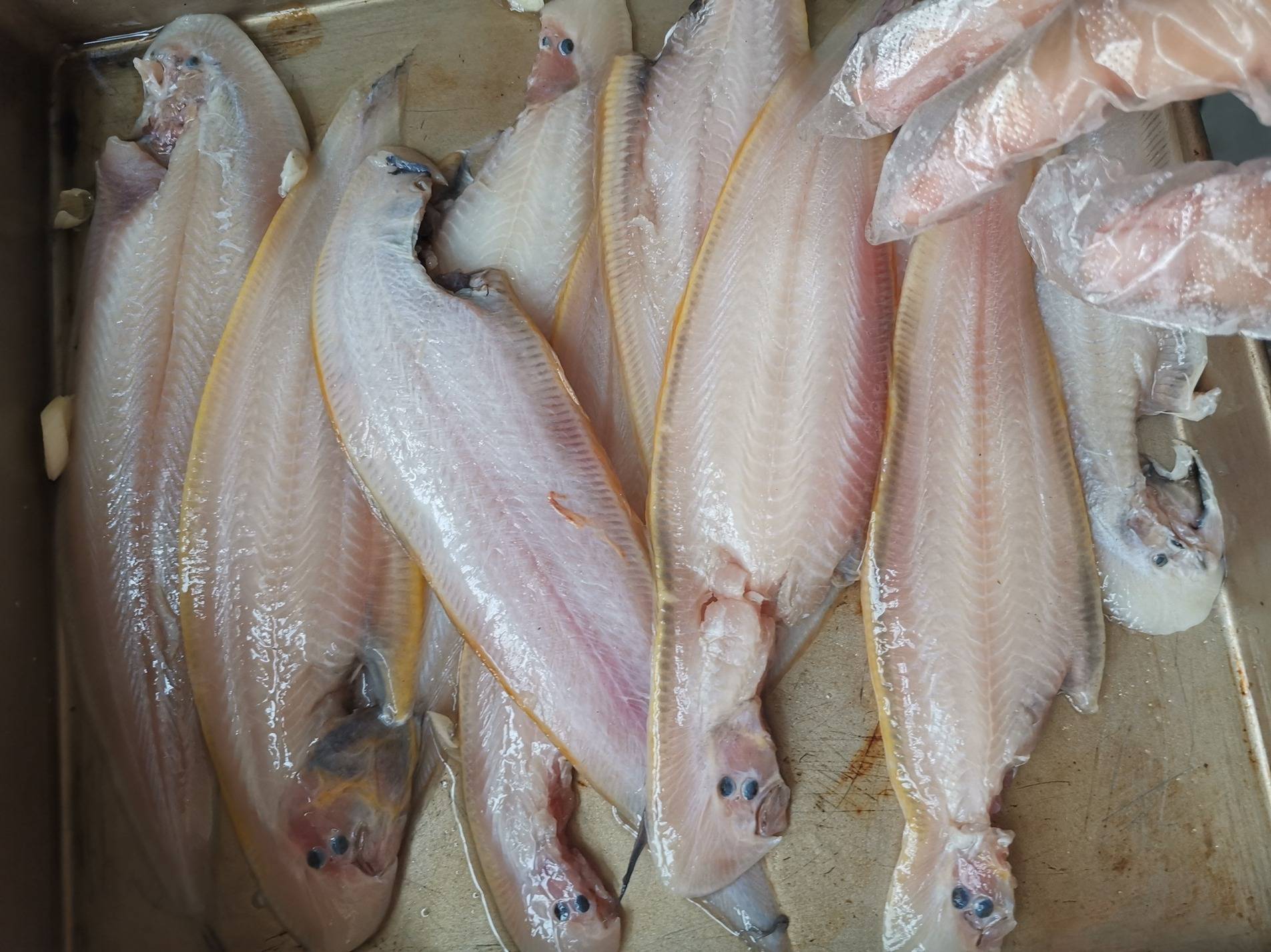 第三步:把清洗好的鳎目鱼放到盘中,加入适量的葱