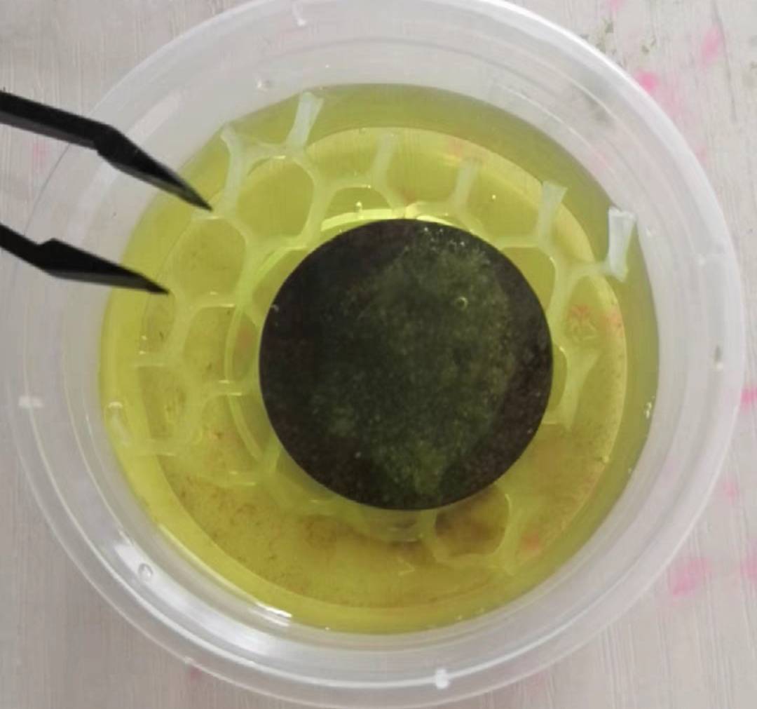 收藏价值更高，4个步骤学会如何保存硬币，简单又实用_搜狐网