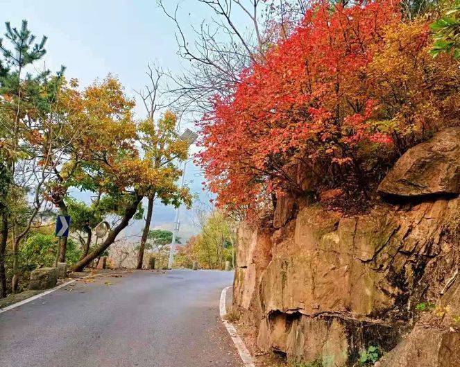 霜天爛漫,朵朵紅霞落山中_紅葉_新韻_中華