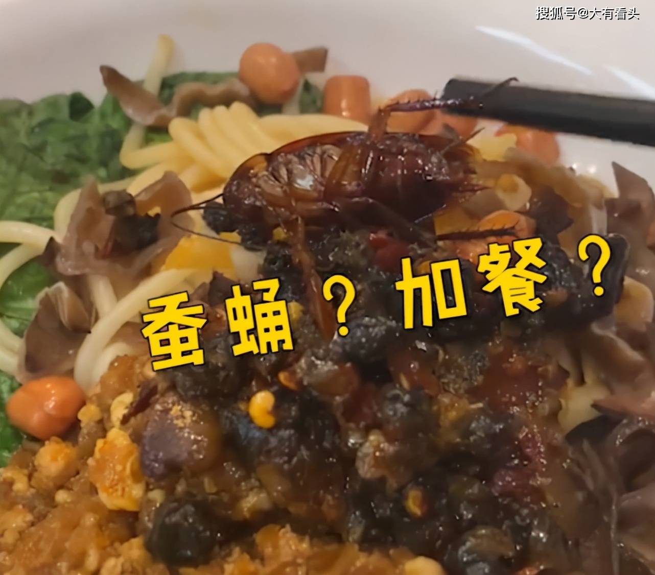 广西男子吃面,老板"加餐送小强",动筷子后懵了:换一碗还收钱_蟑螂