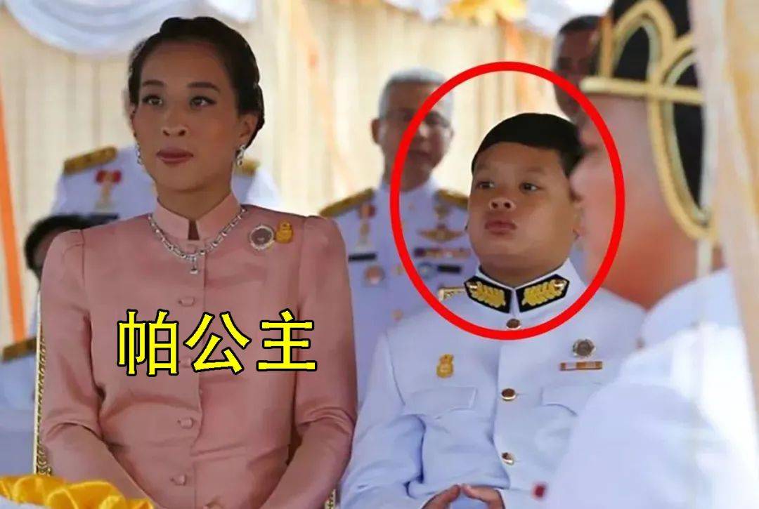 50岁西拉米无路可逃,"喂狗照"被画滑板上,旧事重提影响提帮功