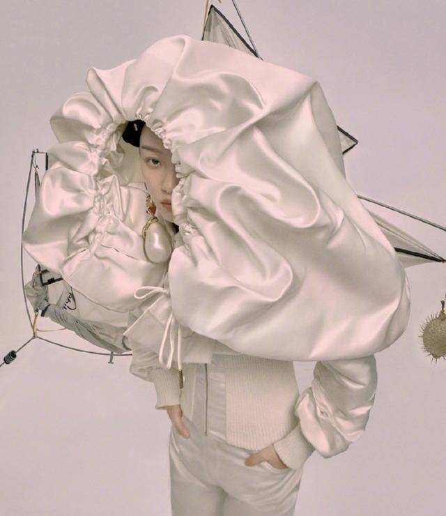 网友 倪妮杂志照造型迷惑,发型飞扬似昆虫,网友:是我不懂时尚