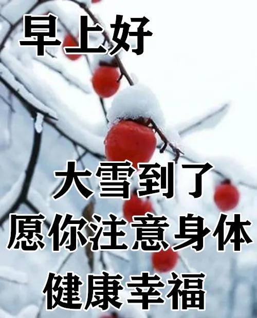 下雪了问候语图片