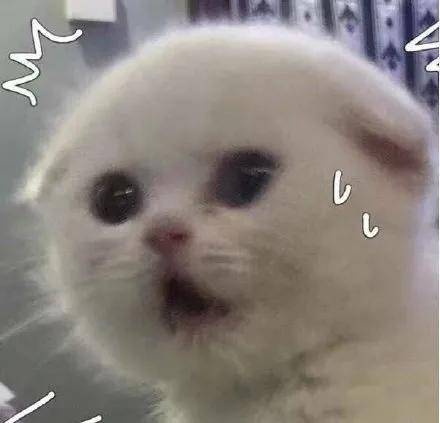 046c0896c91b4899a80d0f9e14e76241.jpeg