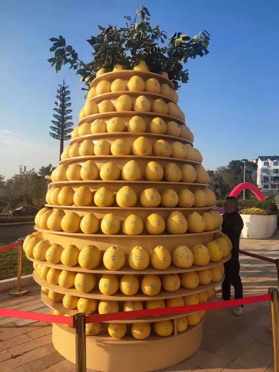 上饶水果图片