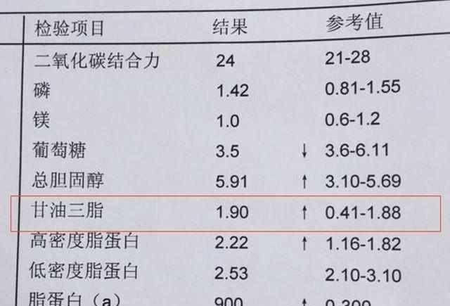 吃什么东西降甘油三脂最快 a1e97161b1f34642a62860a87b916ae0.jpeg