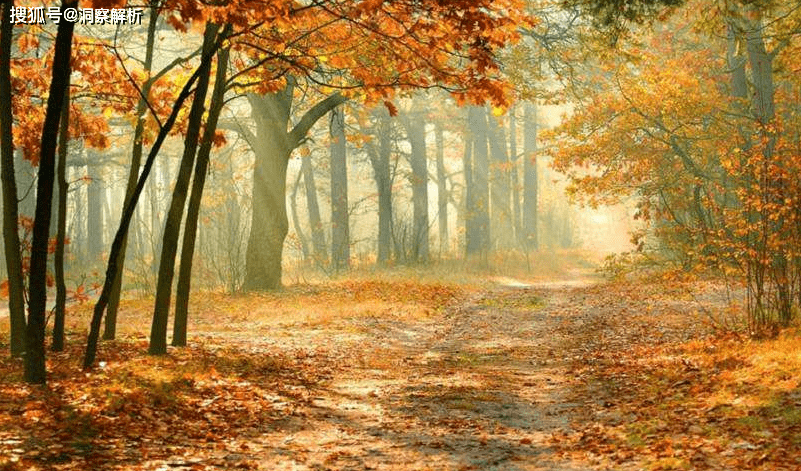 什么时候才算正式进入秋天 0949b7b576964bf4b4efb08a314b3943.png