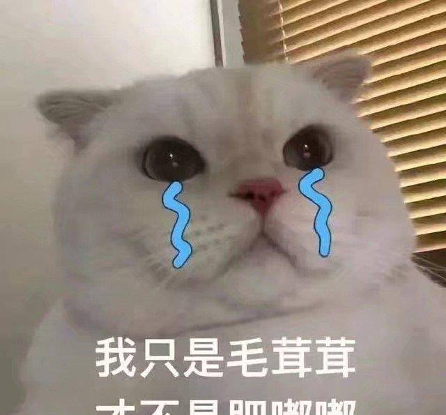 4bee5d1843c64efc8ecfafac5d12eece.jpeg