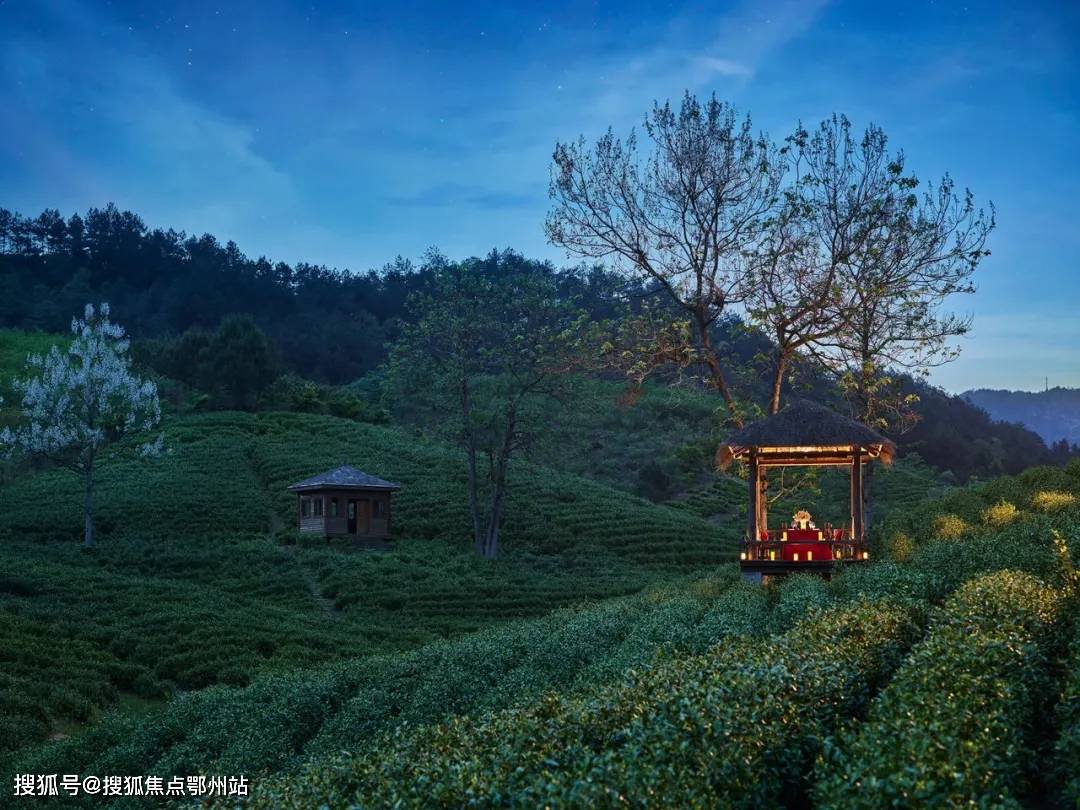 绿城安吉桃花源小镇的自我生长和迭代是让模仿者止步的门槛