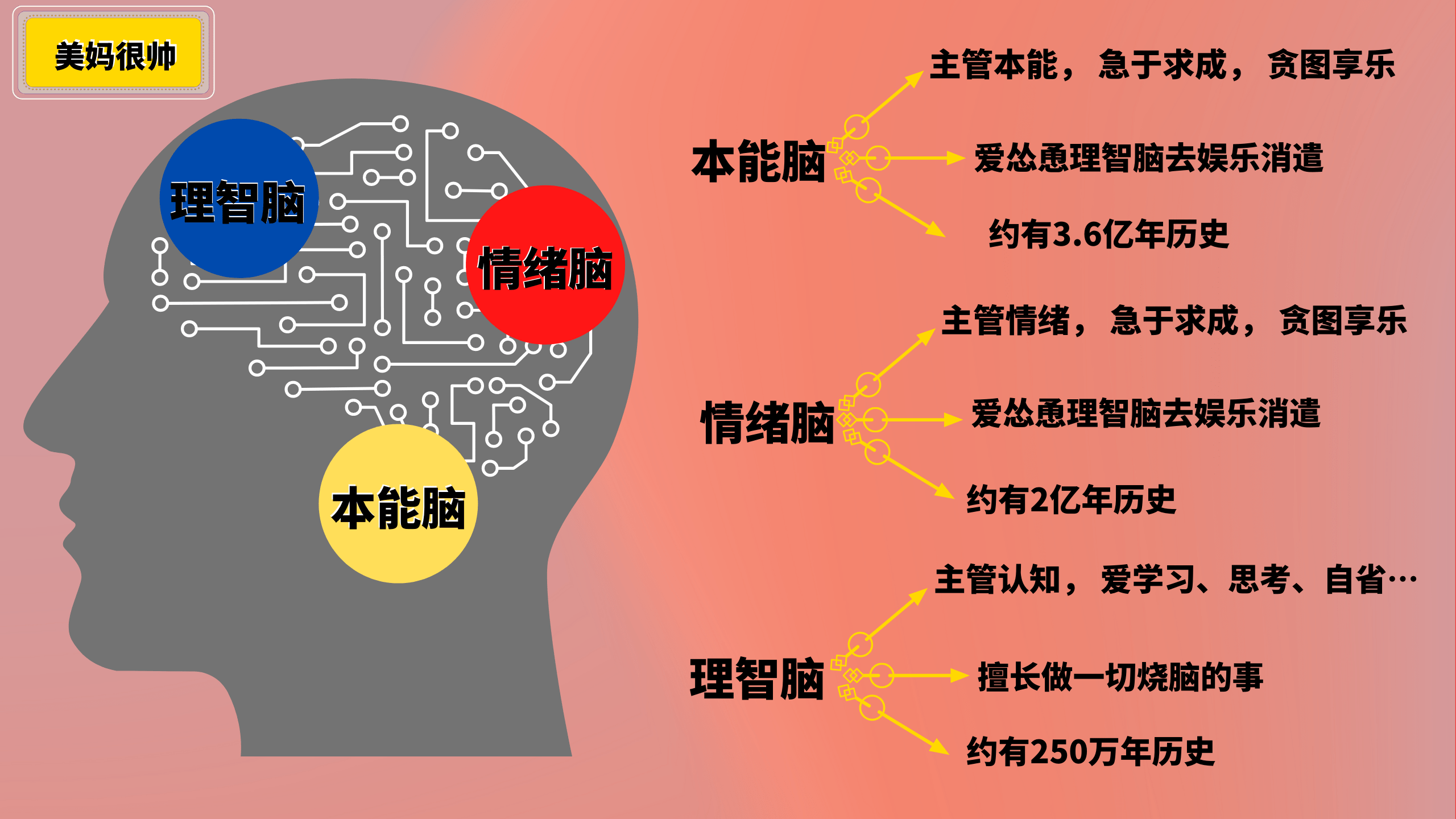 孩子学习低效,写作业爱拖拉?脑科学:简单一招养成学霸_大脑_时间_本能