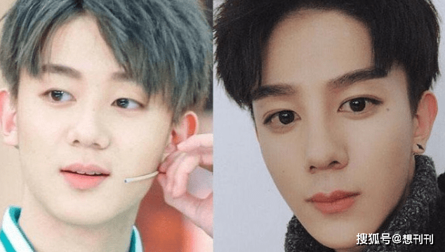 因为内娱“假鼻子”大PK,谁的假到逆天,谁的越整越残?