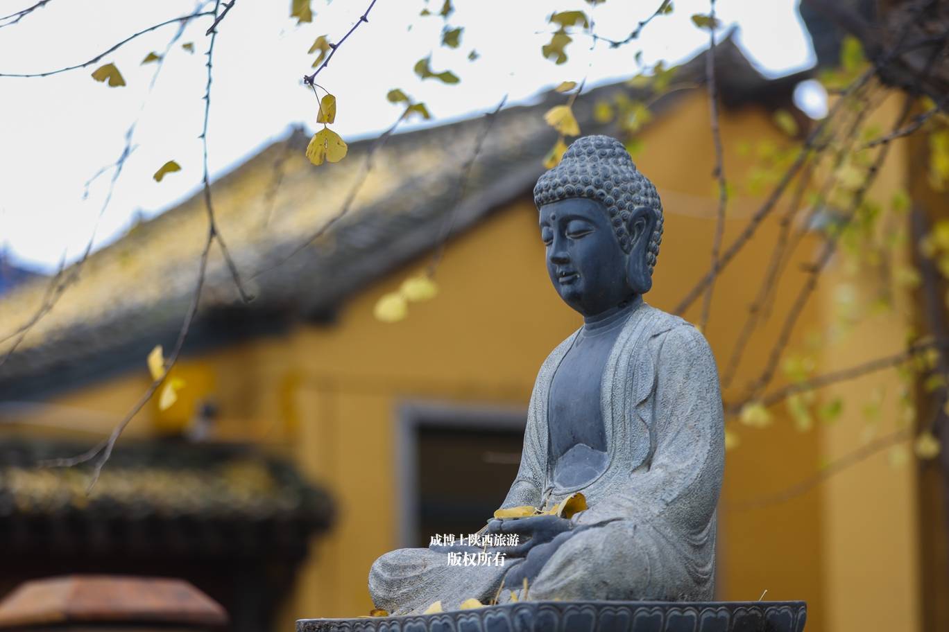 西安百塔寺为佛教三阶教祖庭，然而并没有塔，只有一棵千年银杏