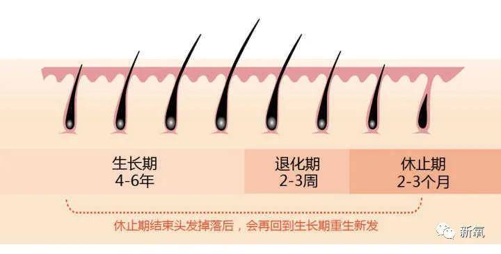 假发我从未见过如此厚颜无耻的假发片！