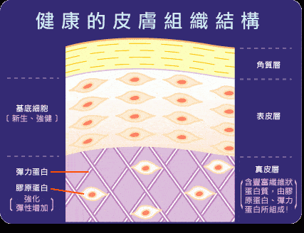 步骤水、乳、面霜、精华的正确步骤，涂错了不仅“无效”还很“伤肤”