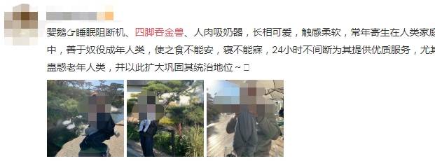 人口|“专家建议开放三胎，我可能又要被催生了”