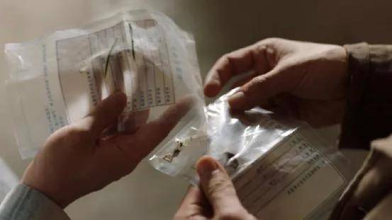 赵丽颖|赵丽颖又出“霸屏剧”,一开播就打破热度纪录,但也“危机四伏”