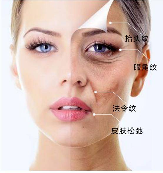 青春 青春驻颜精油！不打针！让你50岁看起来像20岁