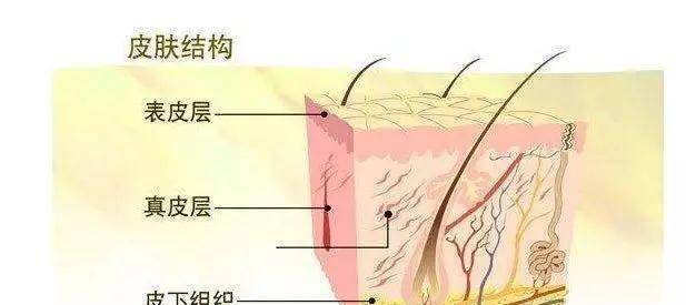 补充奥妍夕：25岁之后，皱纹是每个女性“敌人”，这一招让你击败它