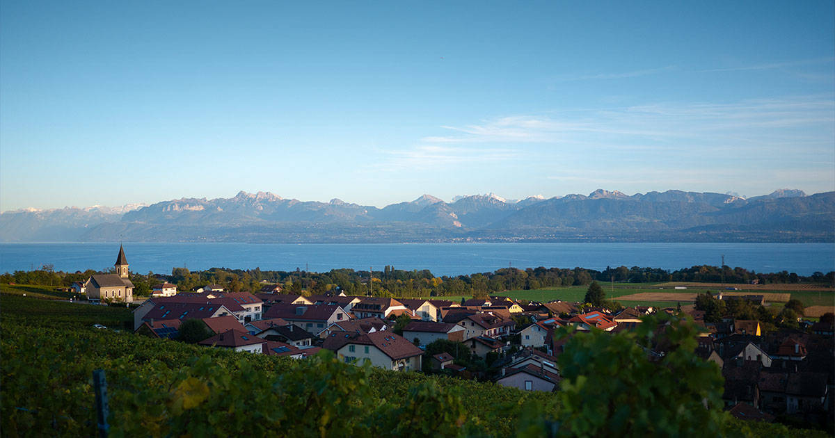 瑞士|源自1806丨瑞士与香格瑞酒庄