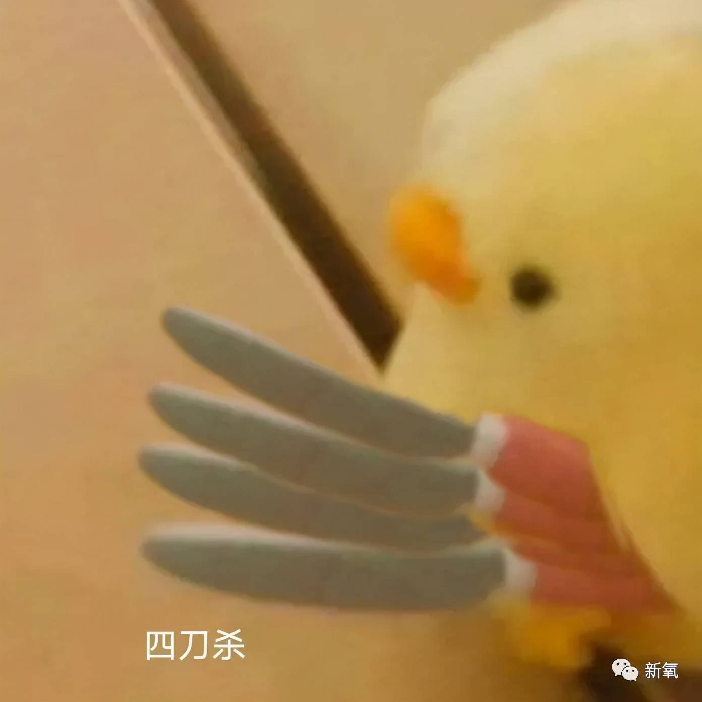 结构型看了印度选美冠军的素颜,我裂开了…