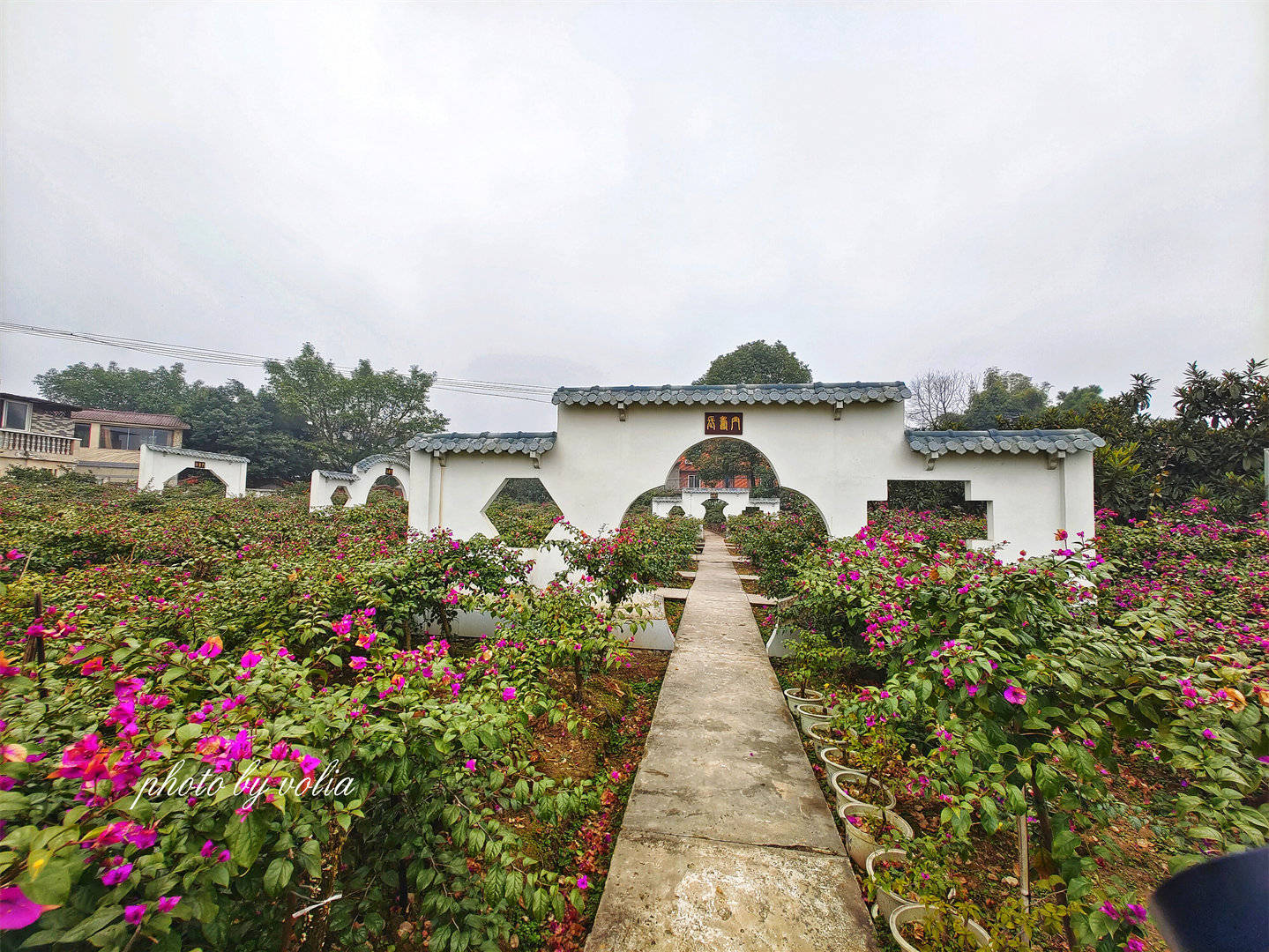 重慶周邊遊|巴南雲篆山養蜂主題公園_蜜蜂採蜜_鮮花_瓜果