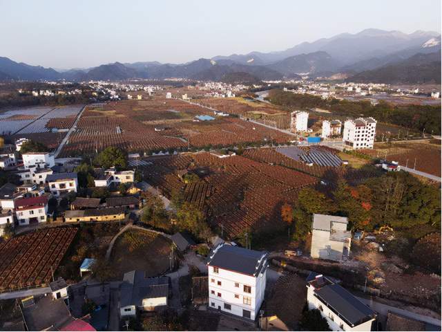 桂林资源县中峰镇田园风光冬季的金色大地美极了