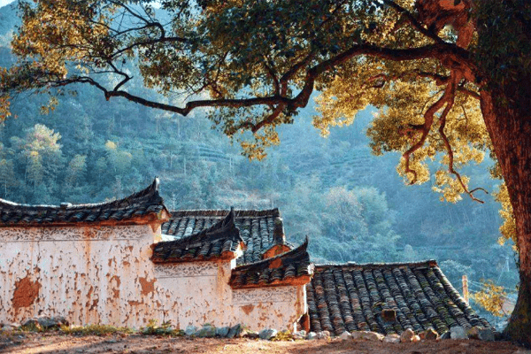 浙江藏着一特色古村，地无三尺平的村子里，竟有清代民居？