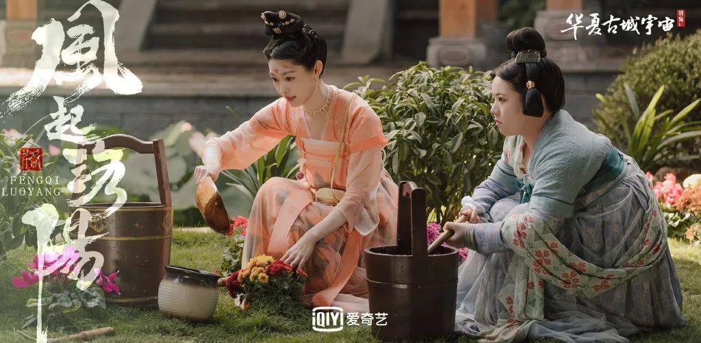 百里|一整个爱住，《风起洛阳》越播越精彩，河南拔智齿！