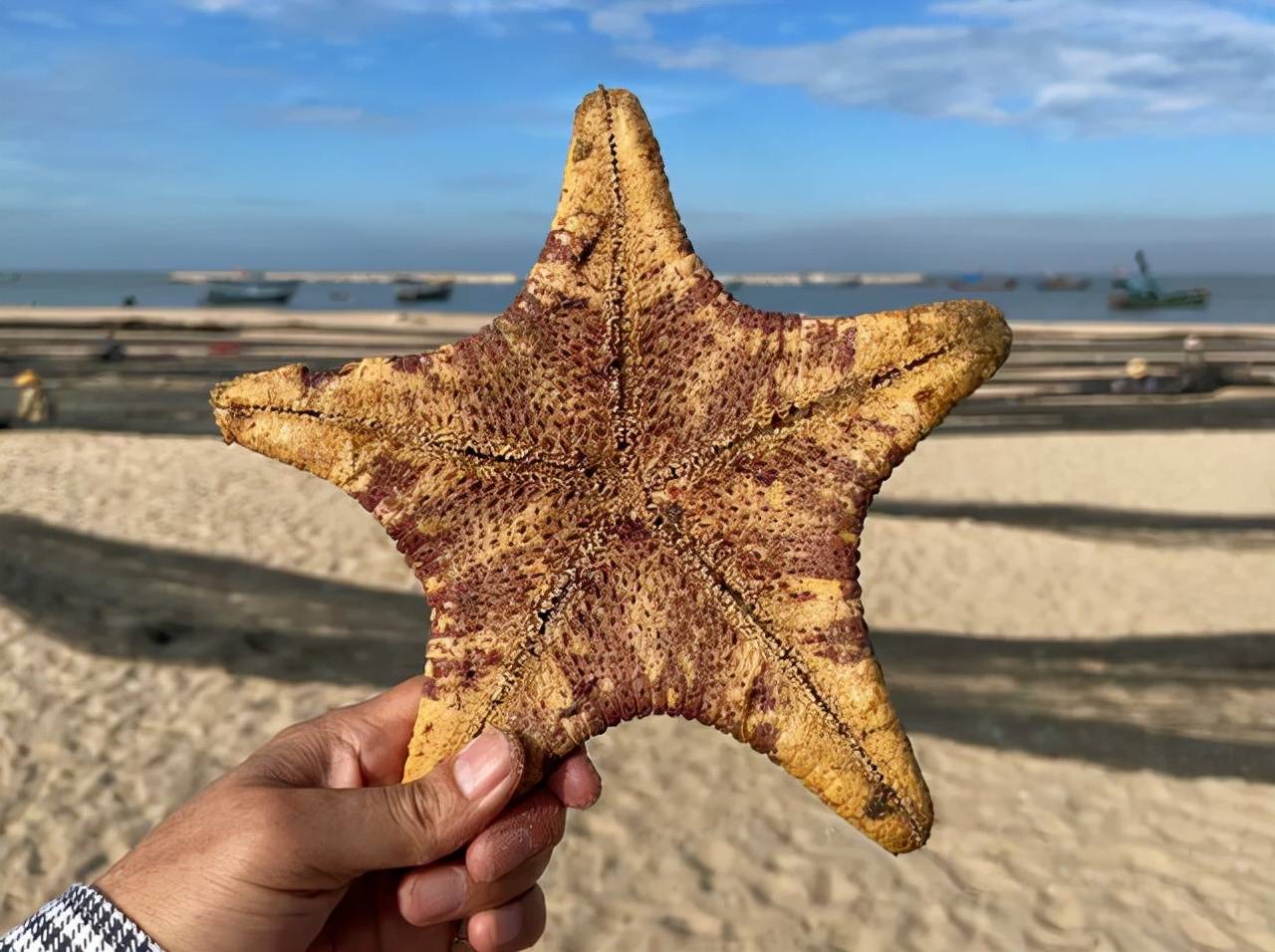 螃蟹|海南的莺歌海你知道吗？离三亚不远，看落日最美，吃海鲜特别实在