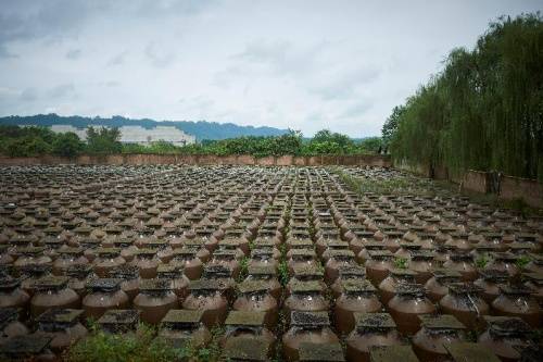 永乐古窖奋斗百年酿酒路，引领产业新征程