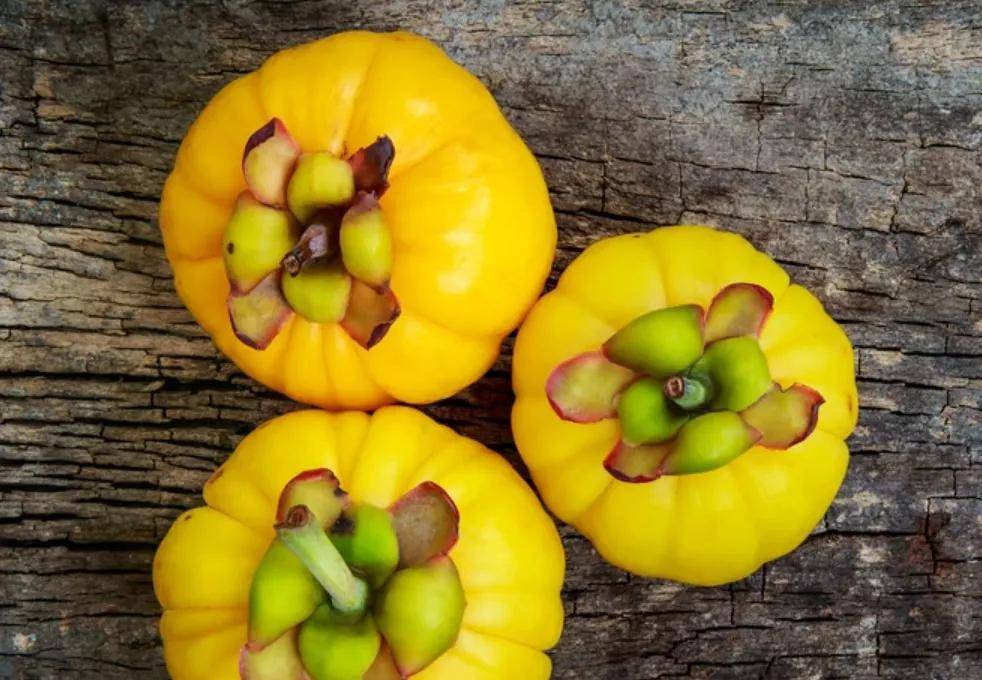 藤黄|吃点啥抑制食欲？最火的是这个