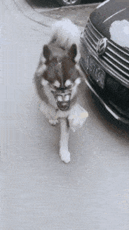 同學(xué)|搞笑GIF趣圖：哥們，你信不信，你這樣以后會沒有女朋友的