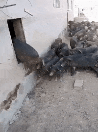 同學(xué)|搞笑GIF趣圖：哥們，你信不信，你這樣以后會沒有女朋友的