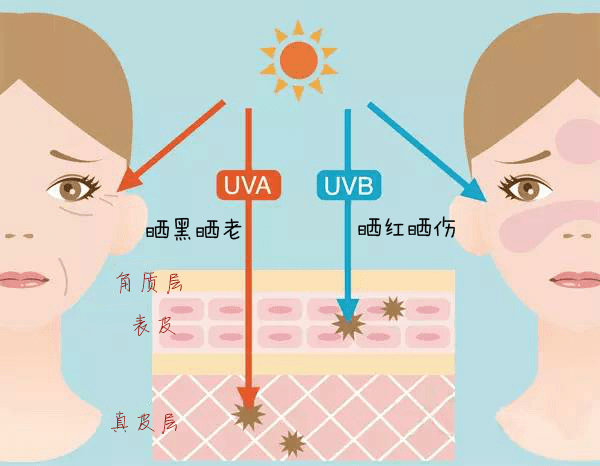 兰瑟无惧烈日骄阳，兰瑟小白盾隔离防晒霜闪亮登场